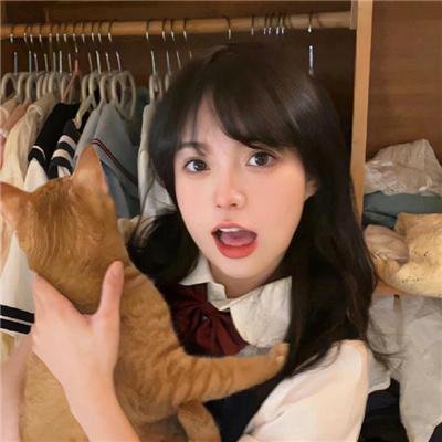 凤姐